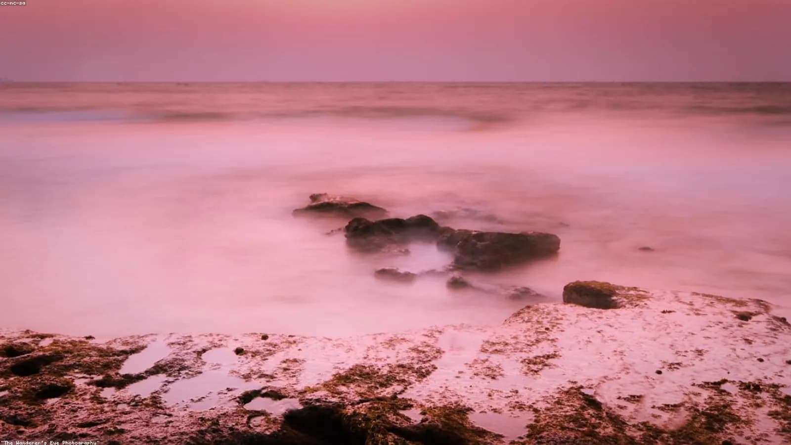 ವಾಣಿಜ್ಯ ಮೇಳ